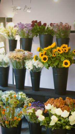 عکس گلفروشی موگه