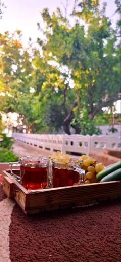 عکس کافه باغ بهار 