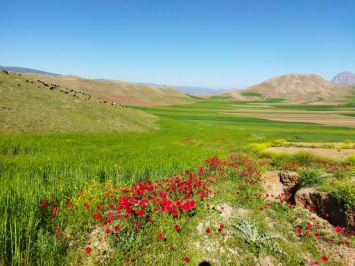 عکس دشت مدبه - Modbeh