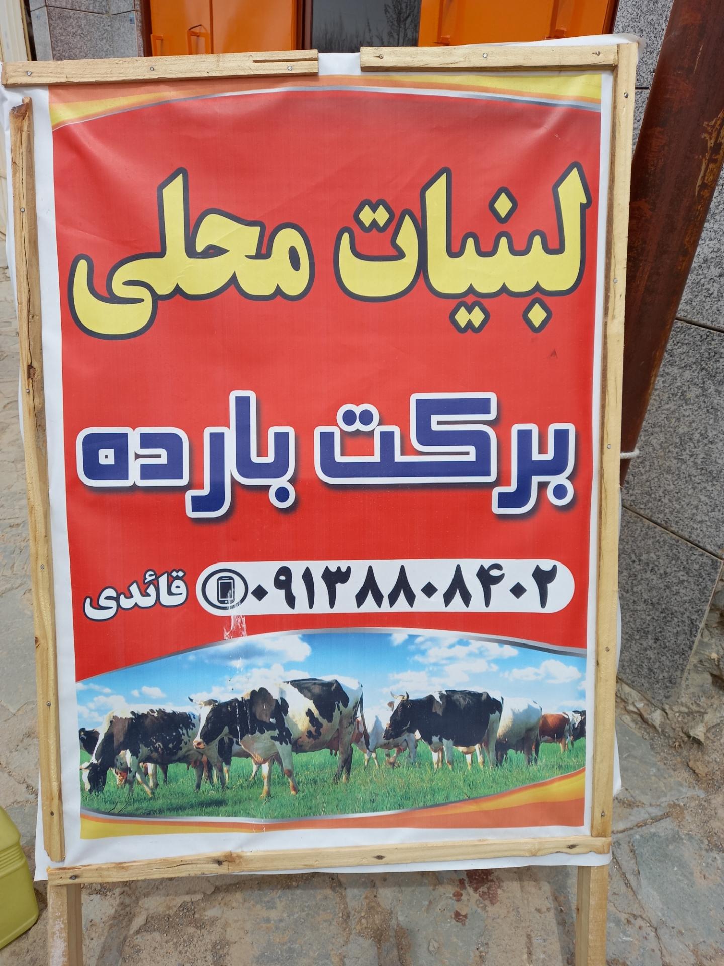 عکس لبنیات برکت بارده