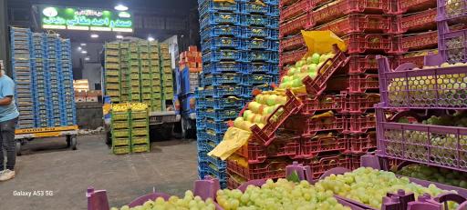 عکس حق العمل صمد و احد مغانی