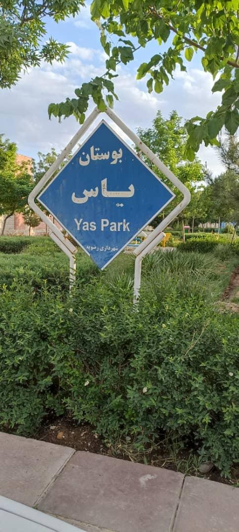 عکس بوستان یاس