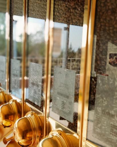 عکس کافه پارادایس 