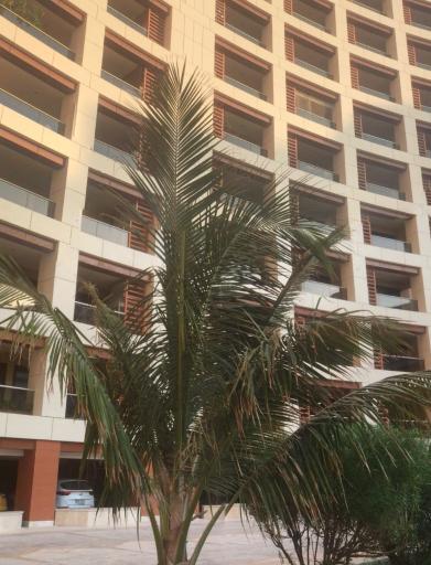 عکس برج ساحلی پرشین