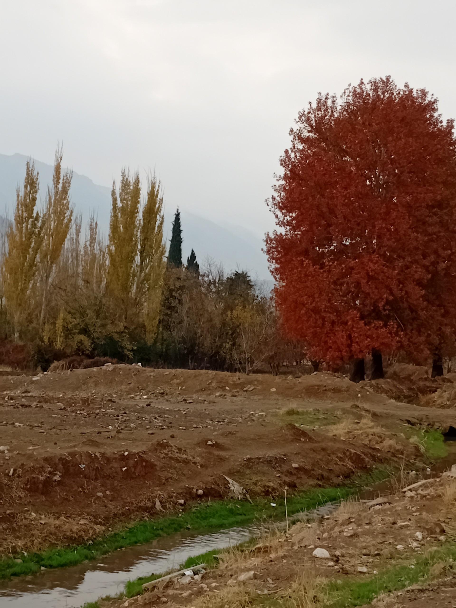 عکس پارک زیبا کنار