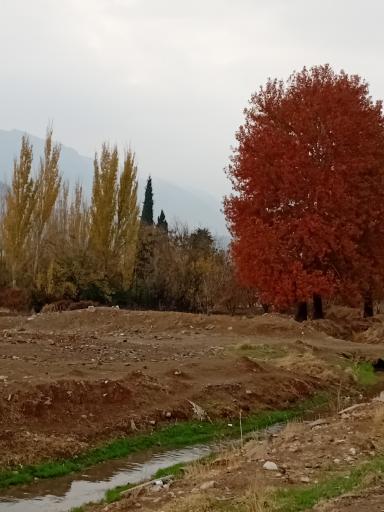 عکس پارک زیبا کنار