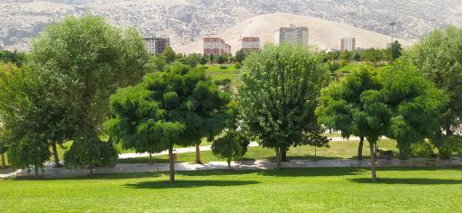 عکس پارک زیبا کنار