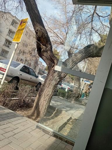 عکس  چهارراه سناباد