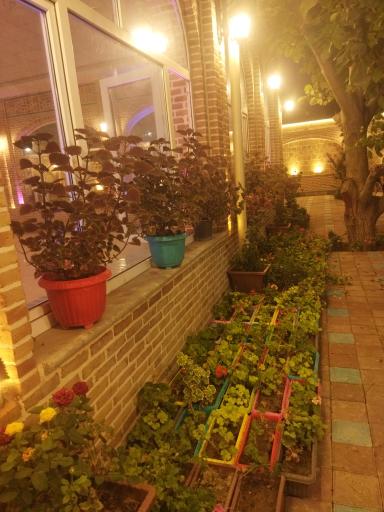 عکس کافه رستوران سنتی آنا