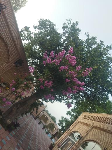 عکس کافه رستوران سنتی آنا