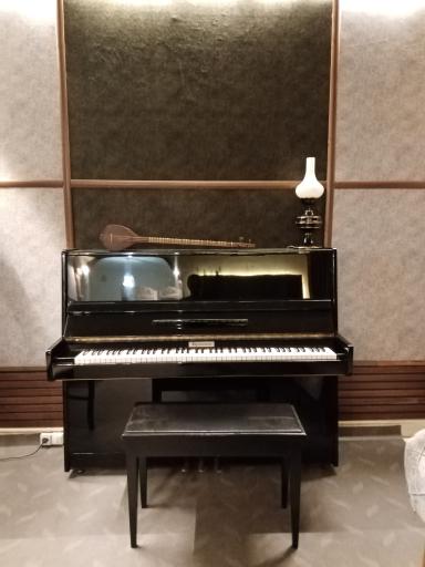 عکس آموزش موسیقی استاد سعادت 