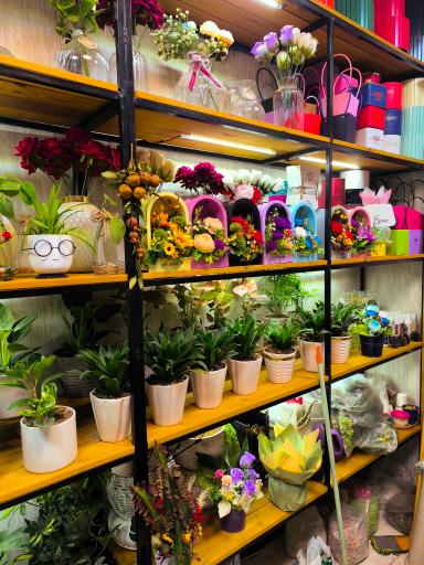 عکس گل فروشی اطلسی