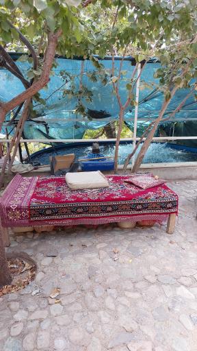 عکس ماهی سرای یاقوت زیاران