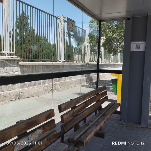 عکس میدان فلسطین