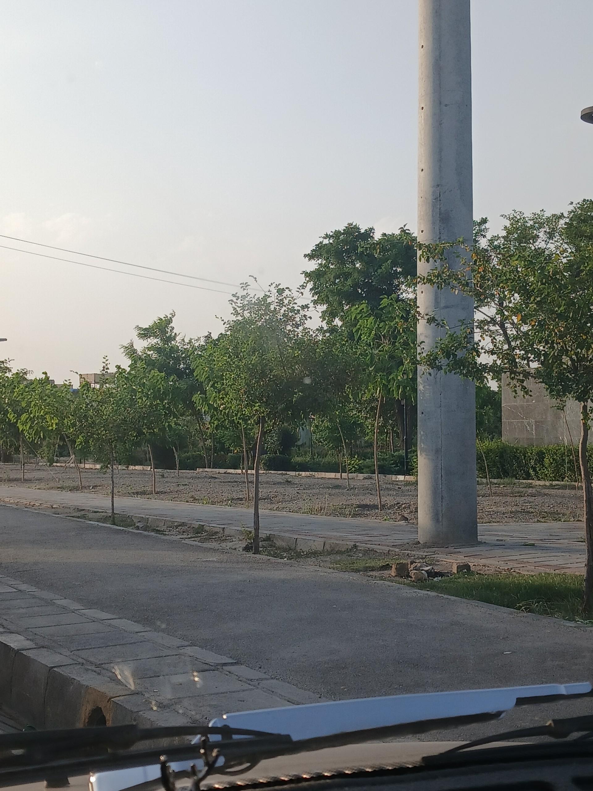 عکس بوستان