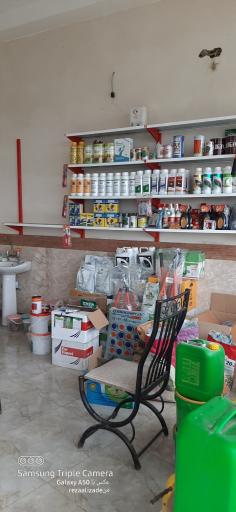 عکس فروشگاه سموم کشاورزی پیچک
