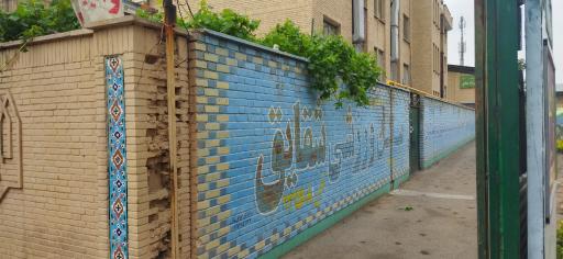 عکس سالن ورزشی شقایق