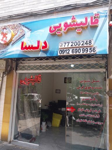 عکس قالیشویی دلسا