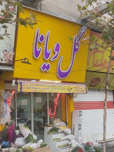 عکس گلفروشی ویانا