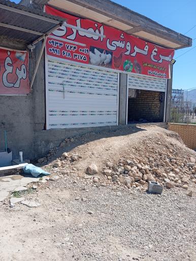 عکس مرغ فروشی انصاری 