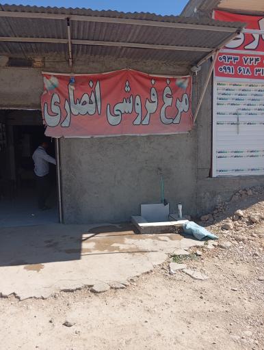 عکس مرغ فروشی انصاری 