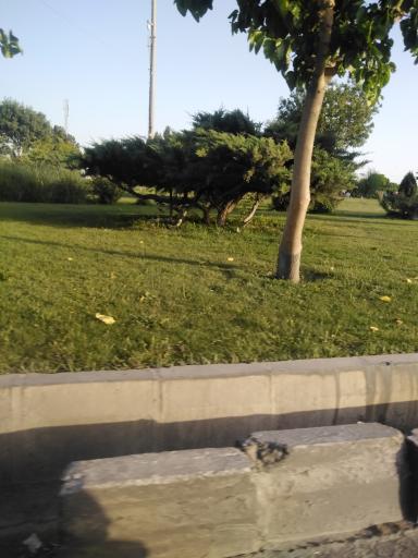 عکس فضای سبز الغدیر