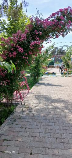 عکس پارک گردشگری ولیعصر