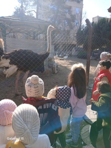 عکس پارک گردشگری ولیعصر