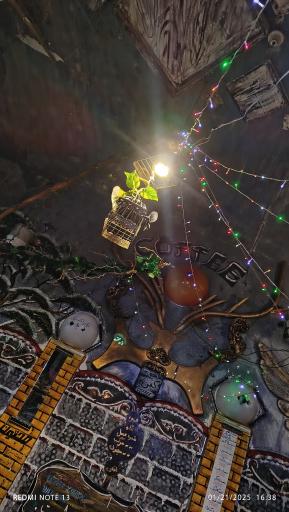 عکس قهوه مجنون کهن