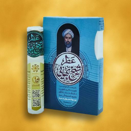 عکس البسه روحانیت انصار
