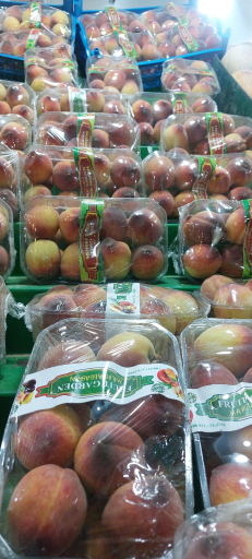 عکس میوه تره بار استقلال