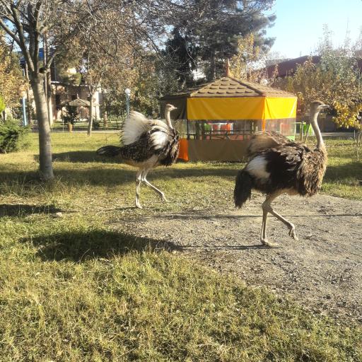 عکس پارک گردشگری ولیعصر