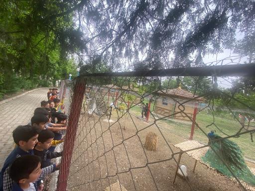 عکس پارک گردشگری ولیعصر