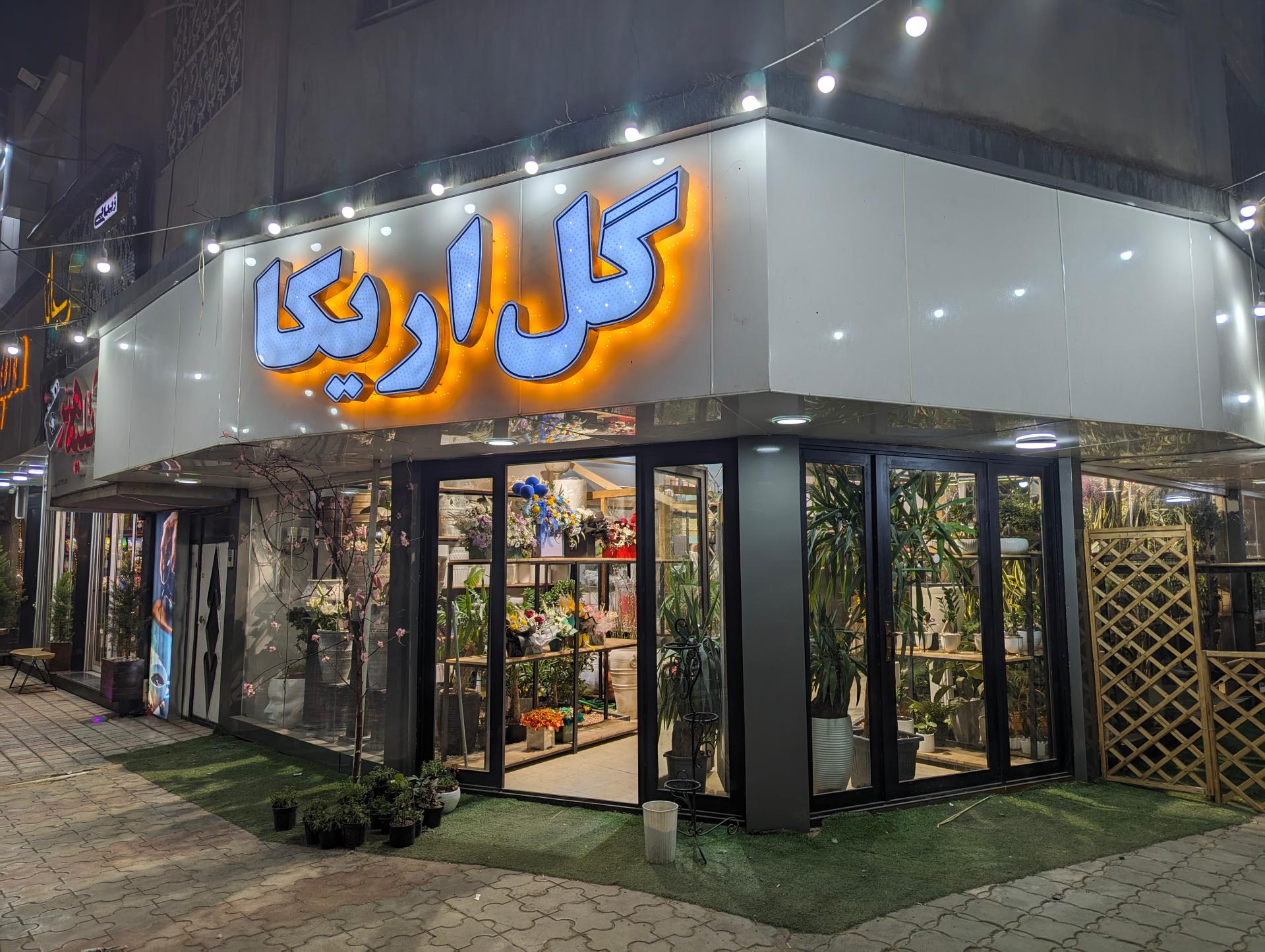 عکس گل اریکا