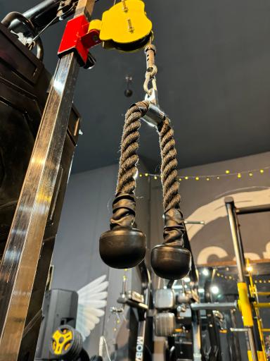 عکس باشگاه بانوان برلیان