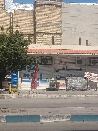 مرغ و ماهی