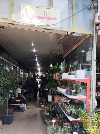 عکس پخش خاک بهکام