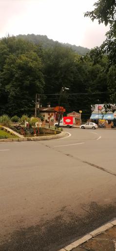 عکس جنگل نهارخوران