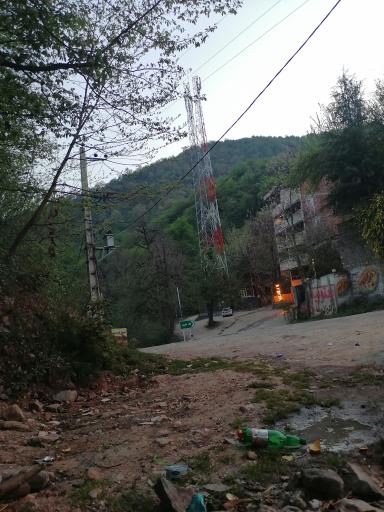 عکس جنگل نهارخوران