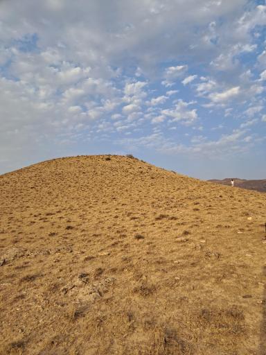 عکس توپقره