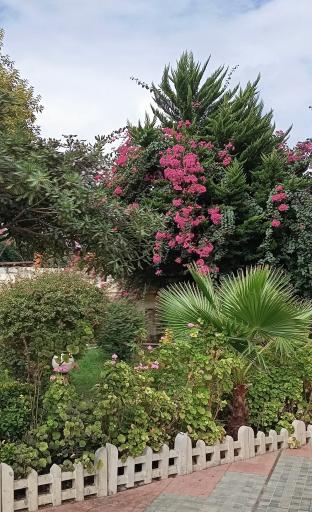 عکس مجتمع رفاهی رفاه گستر تامین اجتماعی