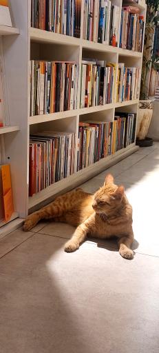 عکس کافه شهر کتاب