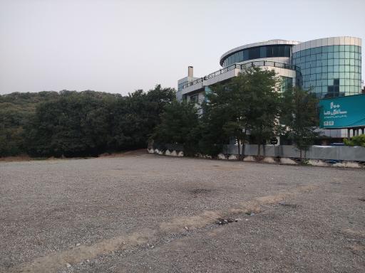 عکس جنگل نهارخوران