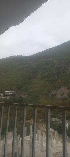 عکس جنگل نهارخوران