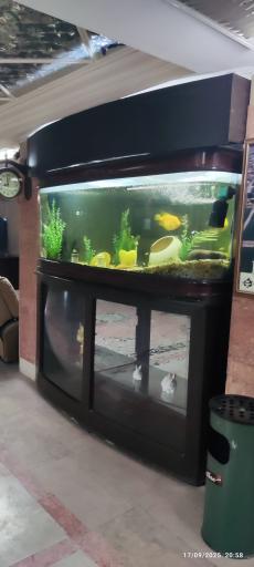 عکس هتل امکان