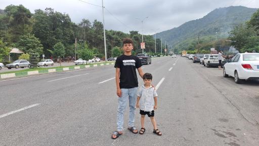 عکس جنگل نهارخوران