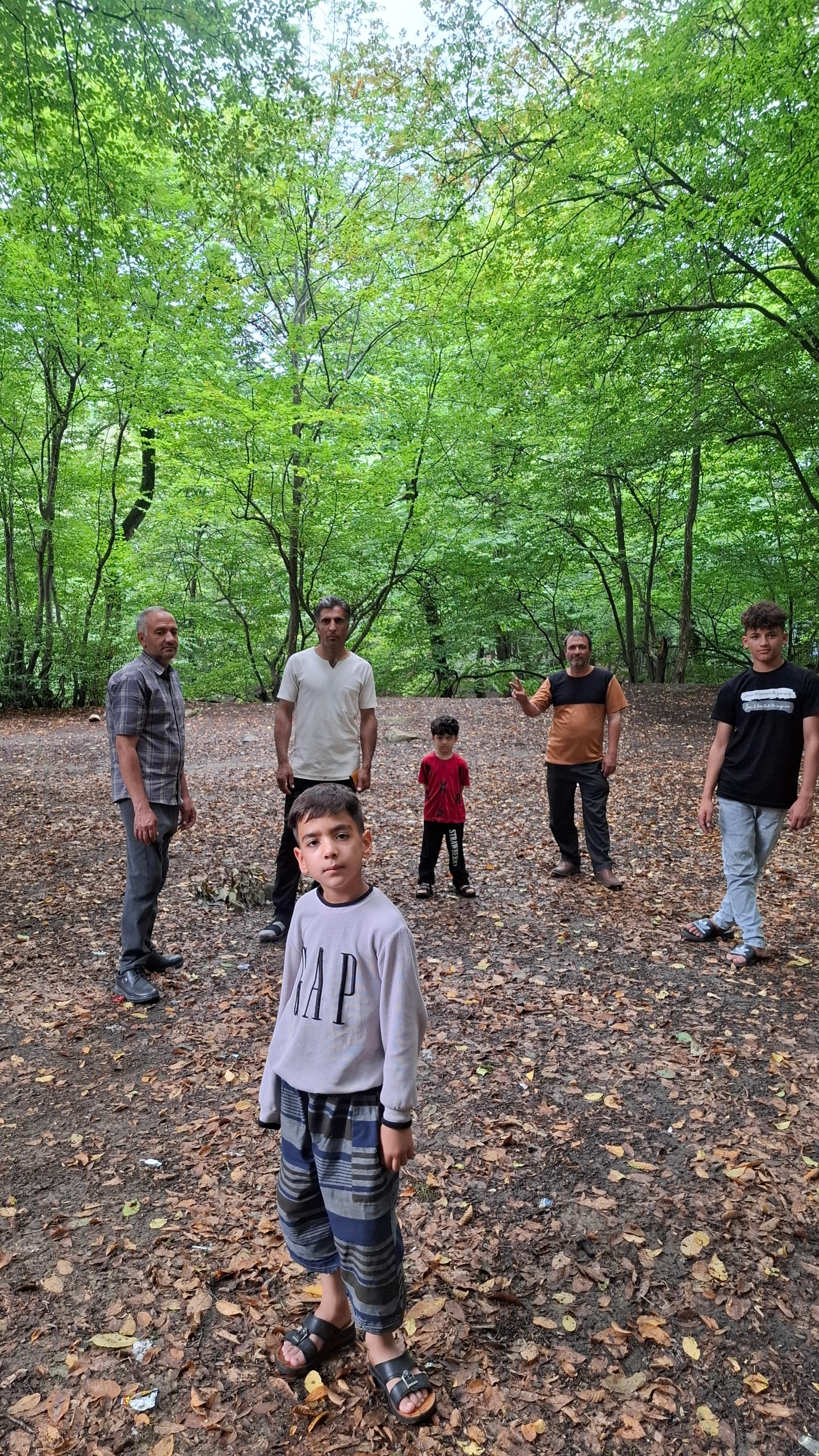 عکس جنگل نهارخوران