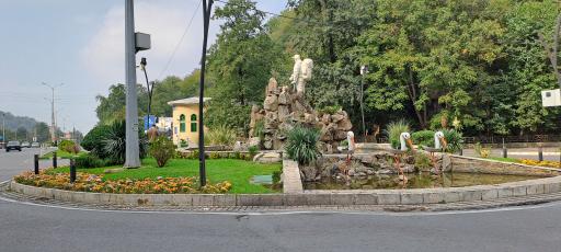 عکس جنگل نهارخوران