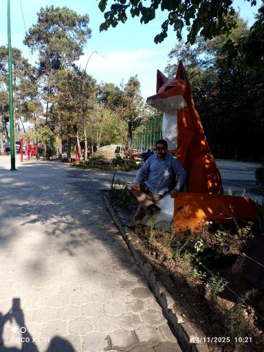 عکس جنگل نهارخوران