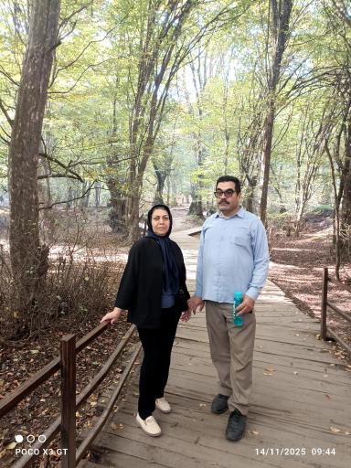 عکس جنگل نهارخوران